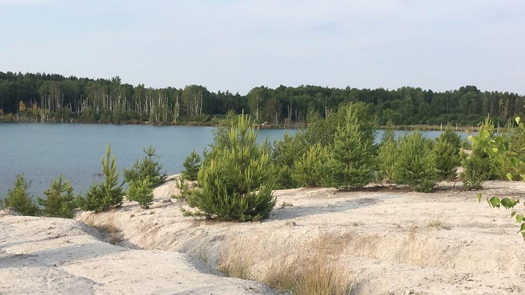 Ferienwohnung Am Schiederdamm Schwandorf in Bayern Phòng bức ảnh